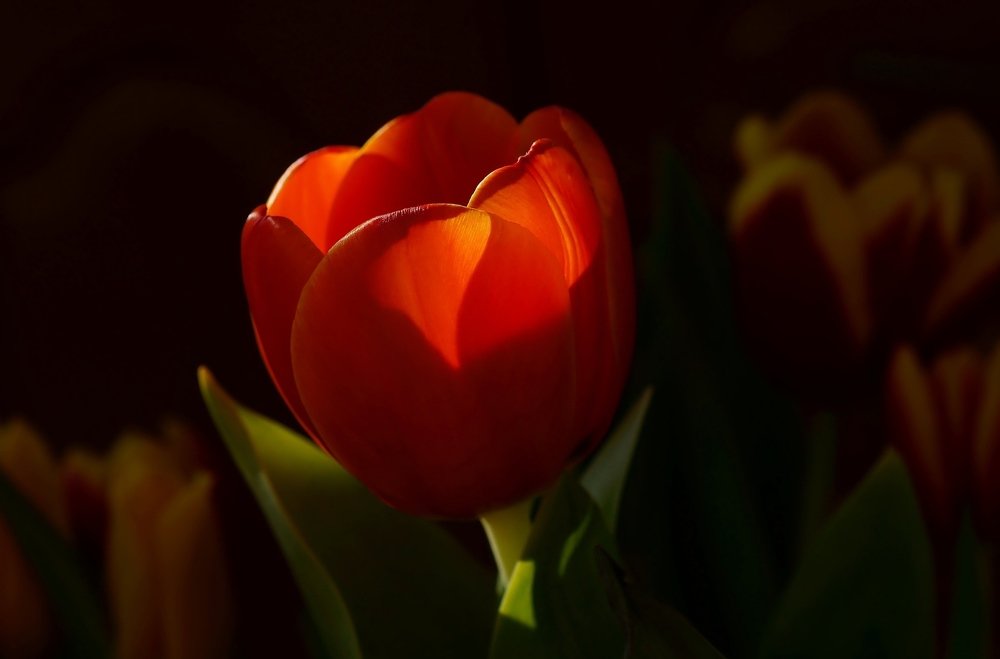 Фотография автора  Галина