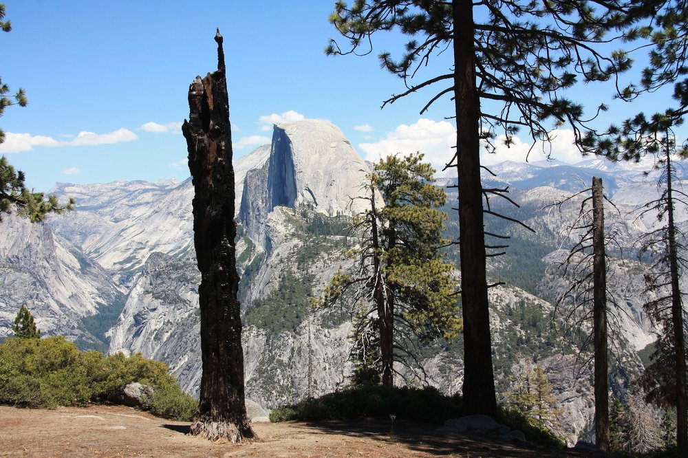 Photograph by Людмила Травина