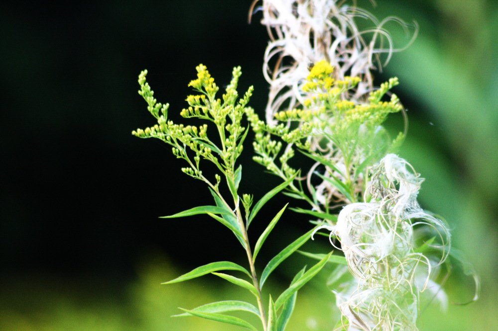 Photograph by Вадим Беляев