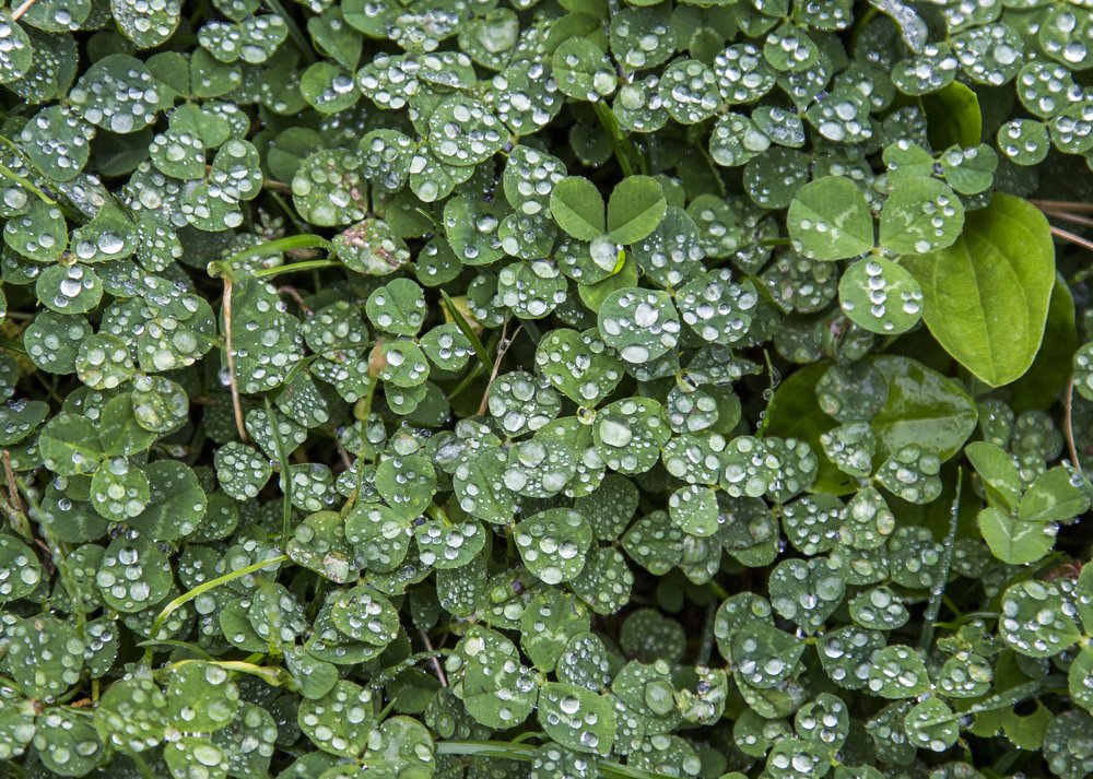 Photograph by Terēze Štube