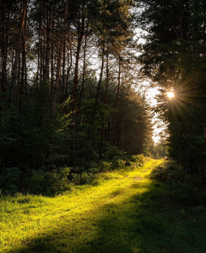 Photograph by Ladislav Szabó