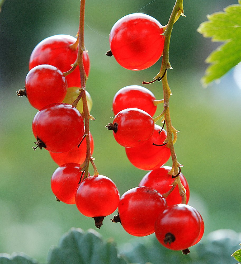 Photograph by Сергей Шварцман