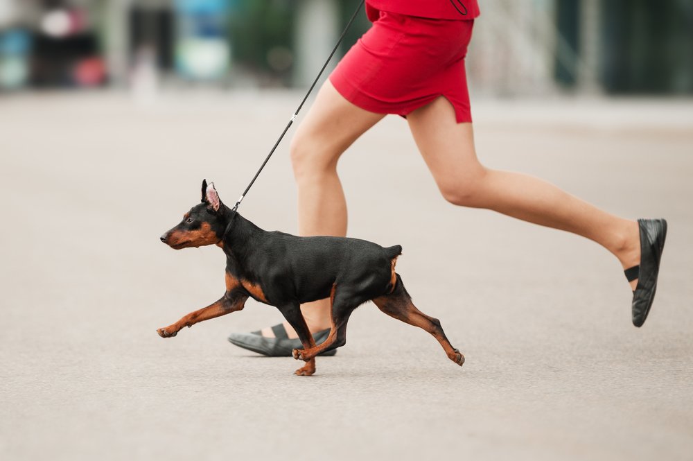 «Последний дюйм»