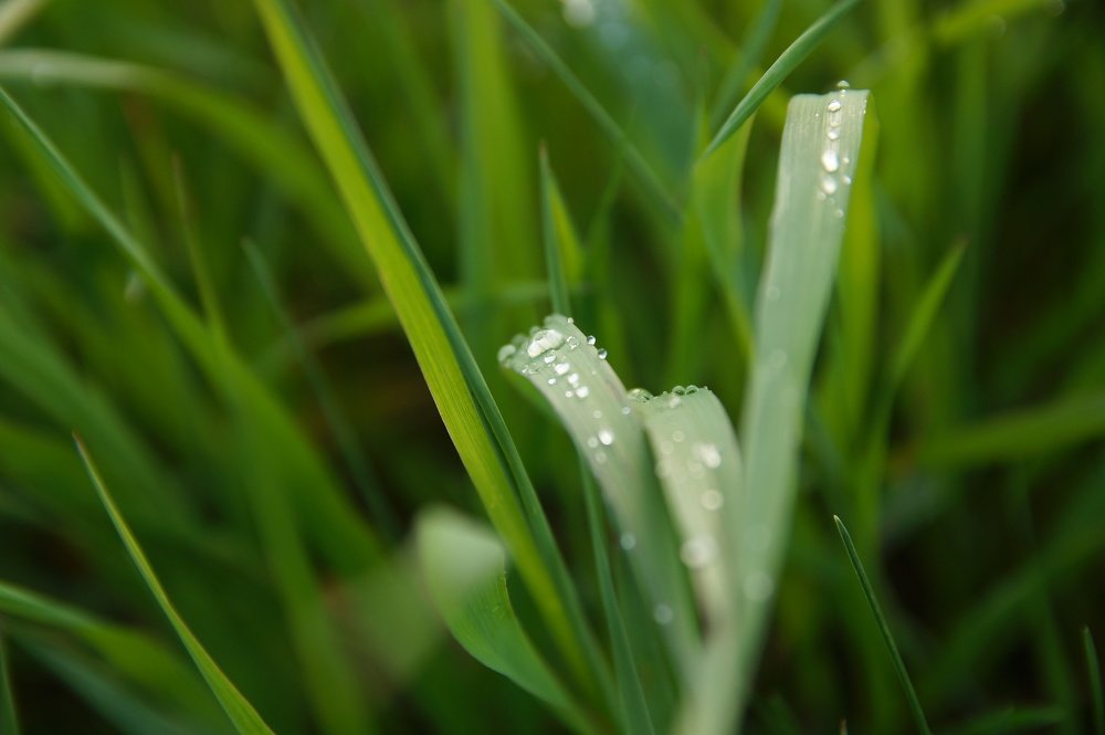 Photograph by Евгений Покрасен