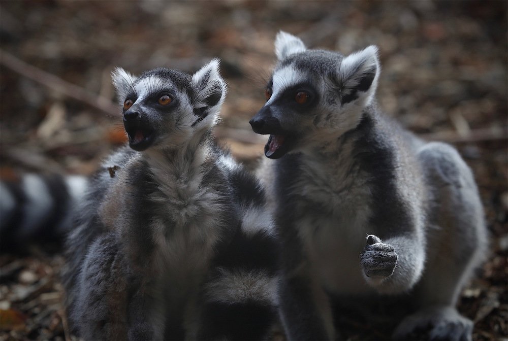 Photograph by Nataliya Mochernyuk