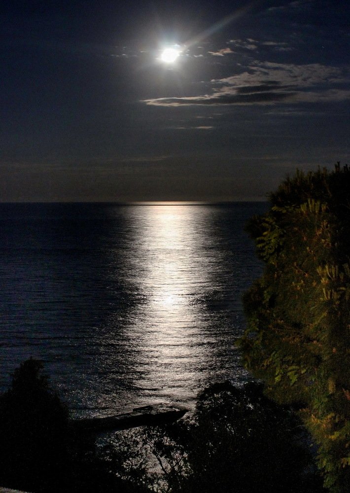 Photograph by Наталья Юрова