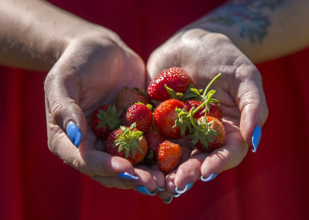 Photograph by Terēze Štube