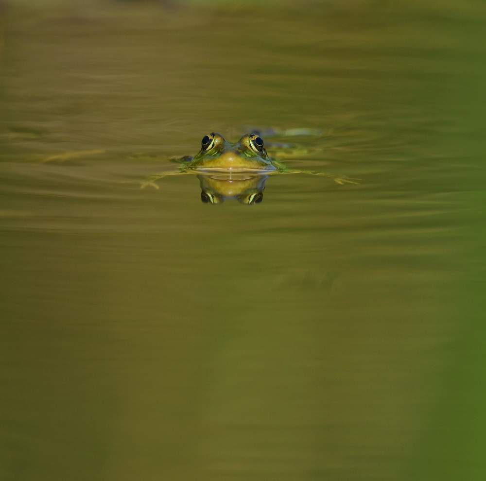 Photograph by Виктор Бондарев