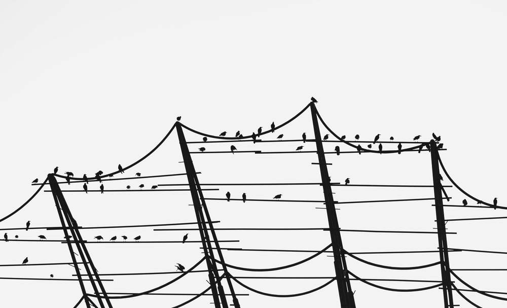 Photograph by Farshad Yazdankhah