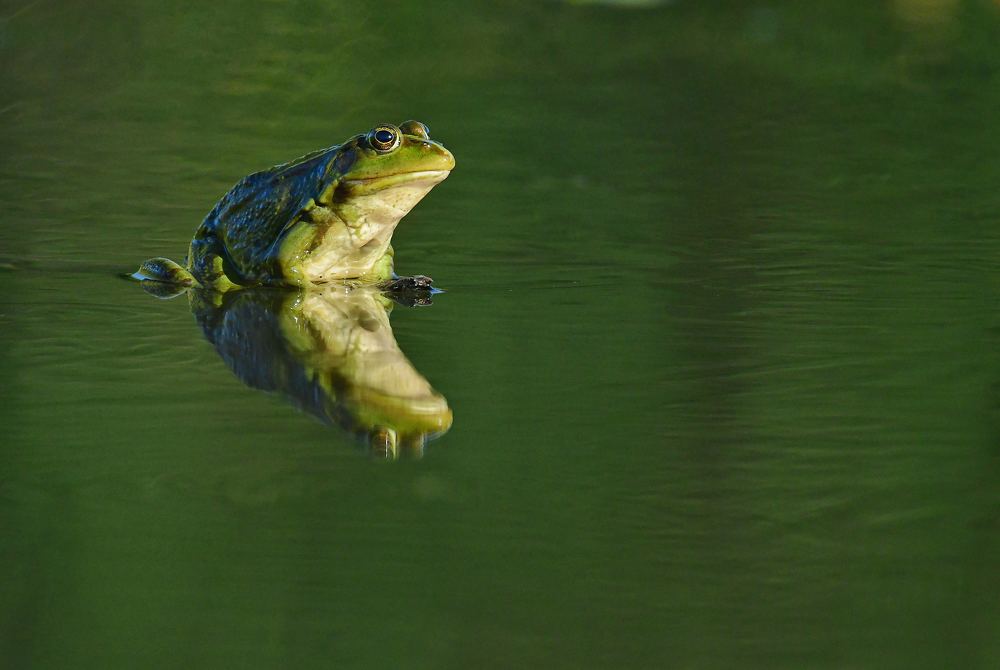 Photograph by Виктор Бондарев
