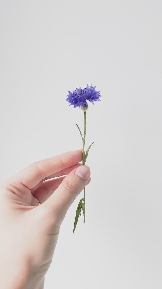 Photograph by Вера Маджар