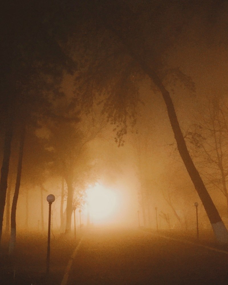 Photograph by Галина Шиченко