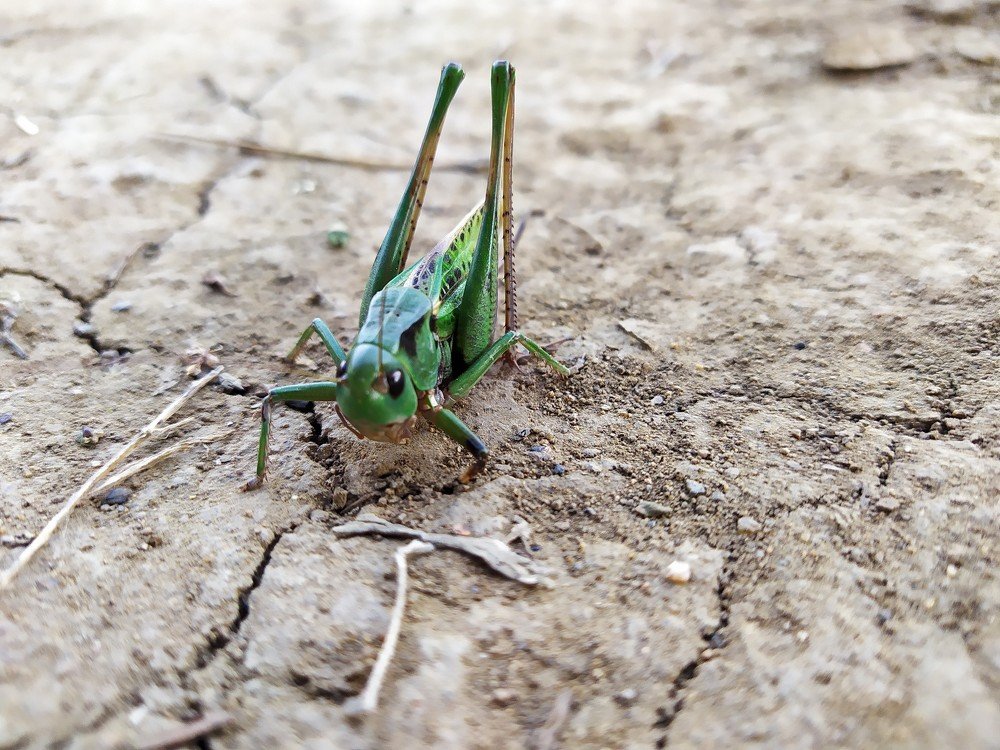 Photograph by Галина Урлапкина