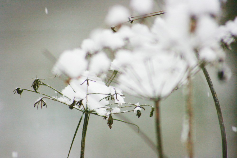 Photograph by Вадим Беляев