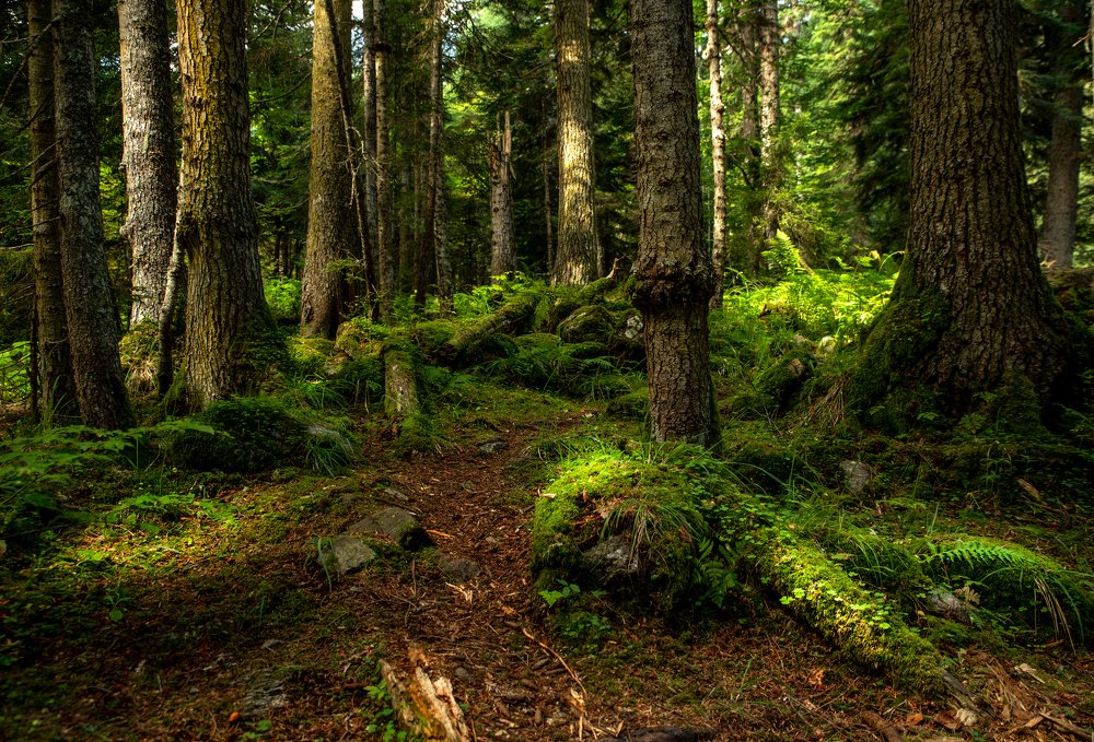 Photograph by Валерий Одинцов