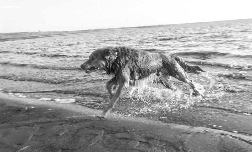 Photograph by Алексей Сыров