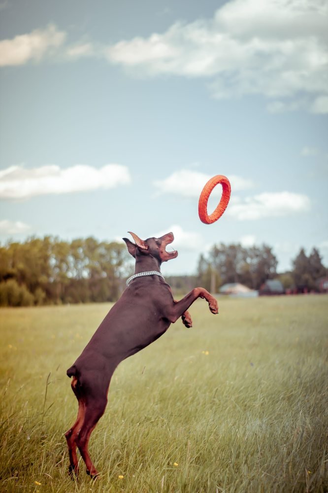 Photograph by Никита Малых