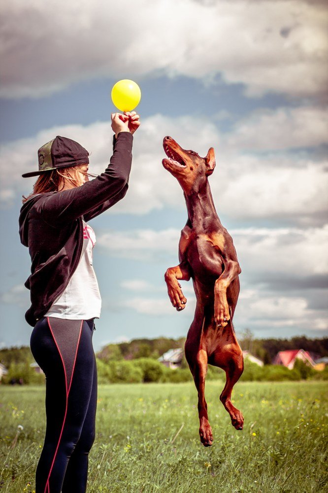 Photograph by Никита Малых