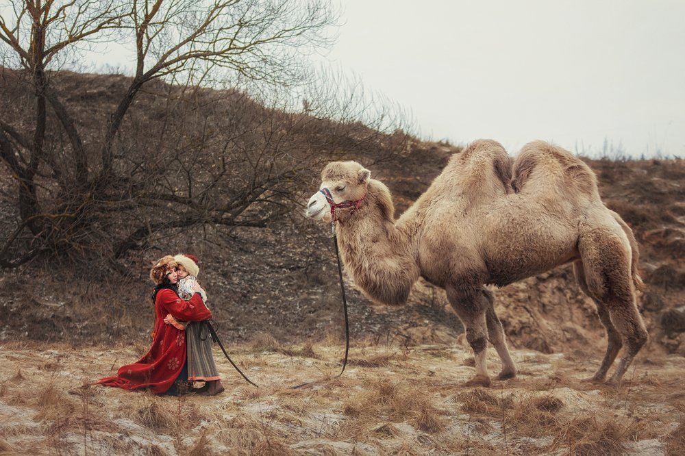 Фотография автора Тимакова Татьяна