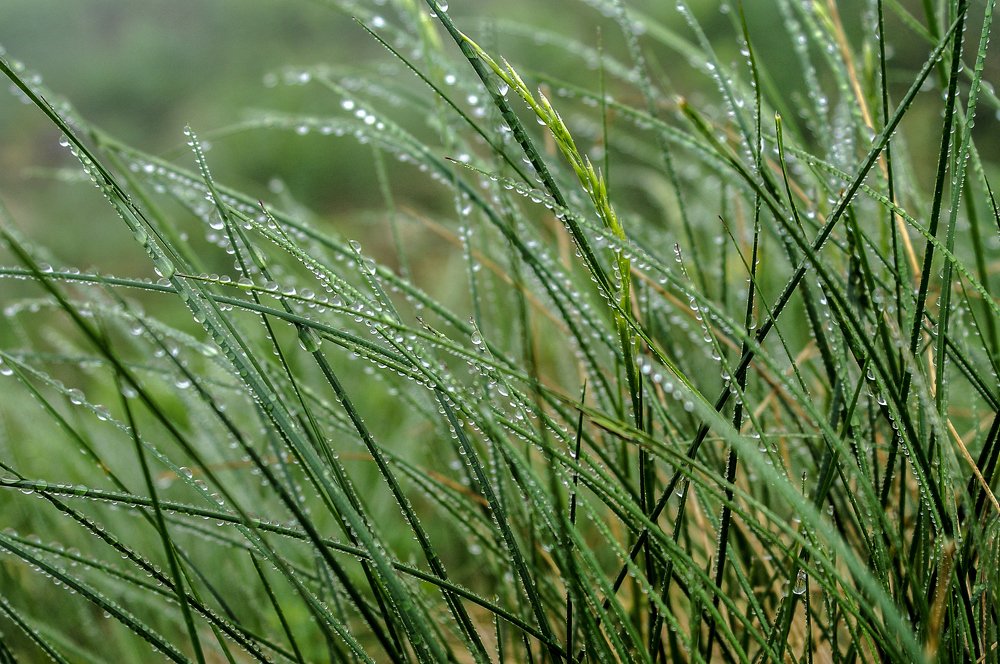 Photograph by Валерий Одинцов