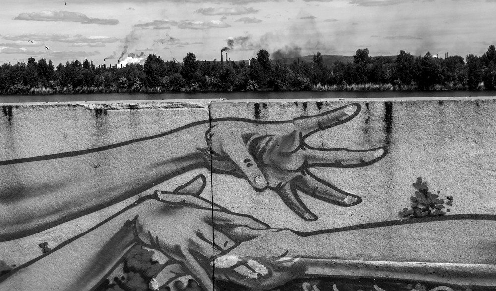 Photograph by Алексей Сыров