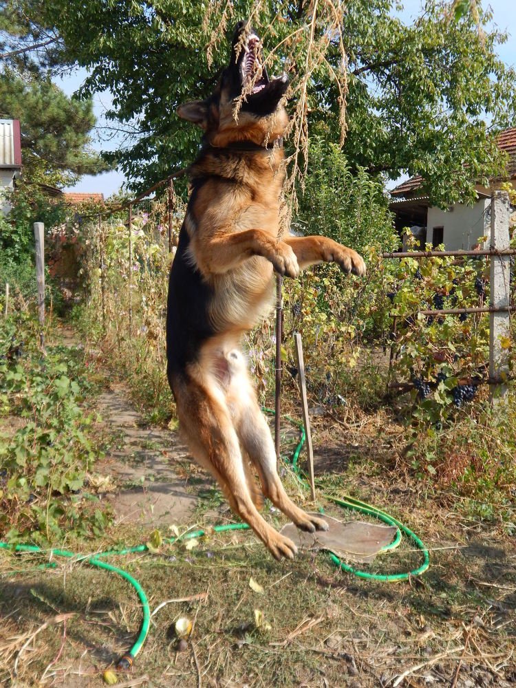 Photograph by Алена