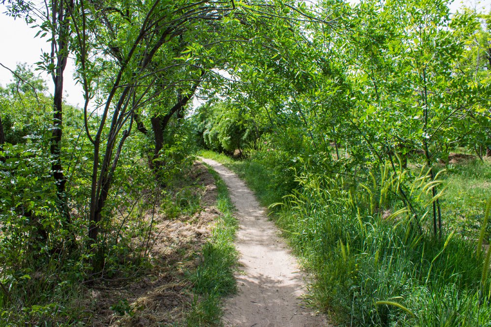 Фотография автора Ebrahim Rahiminezhad