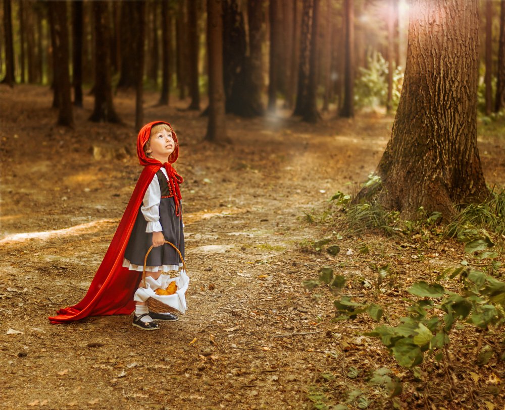 Фотография автора Наталья Копылова