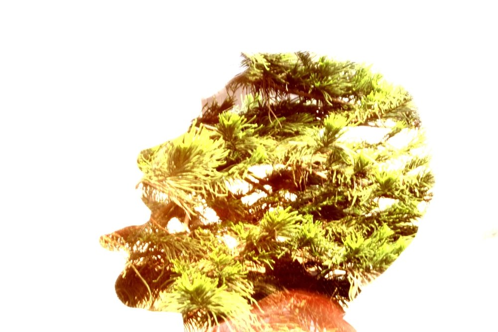 Identity with multiple exposure