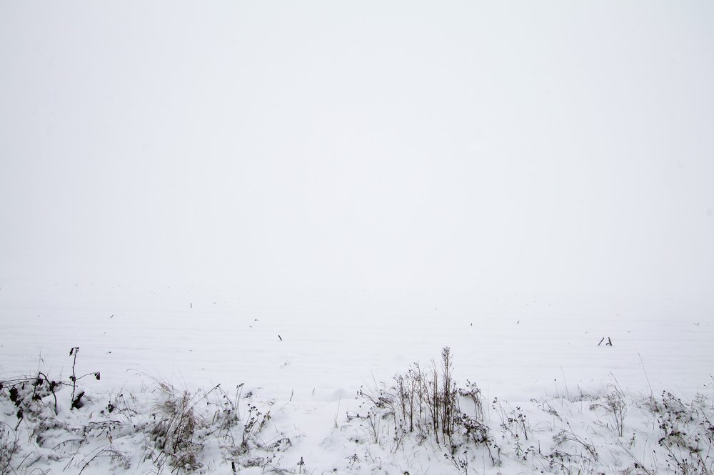 Photograph by Анна Евдокименко