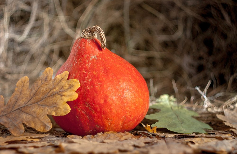 Фотография автора Валерий Елистратов