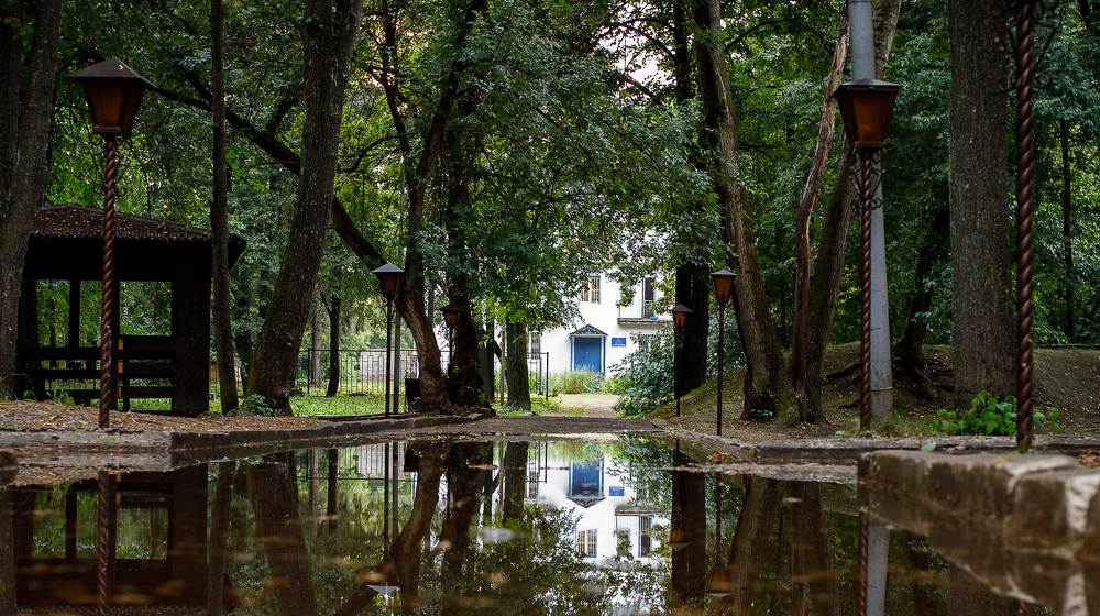 Фотография автора Анна Толмачева