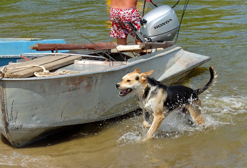 Photograph by Сергей Дружаев