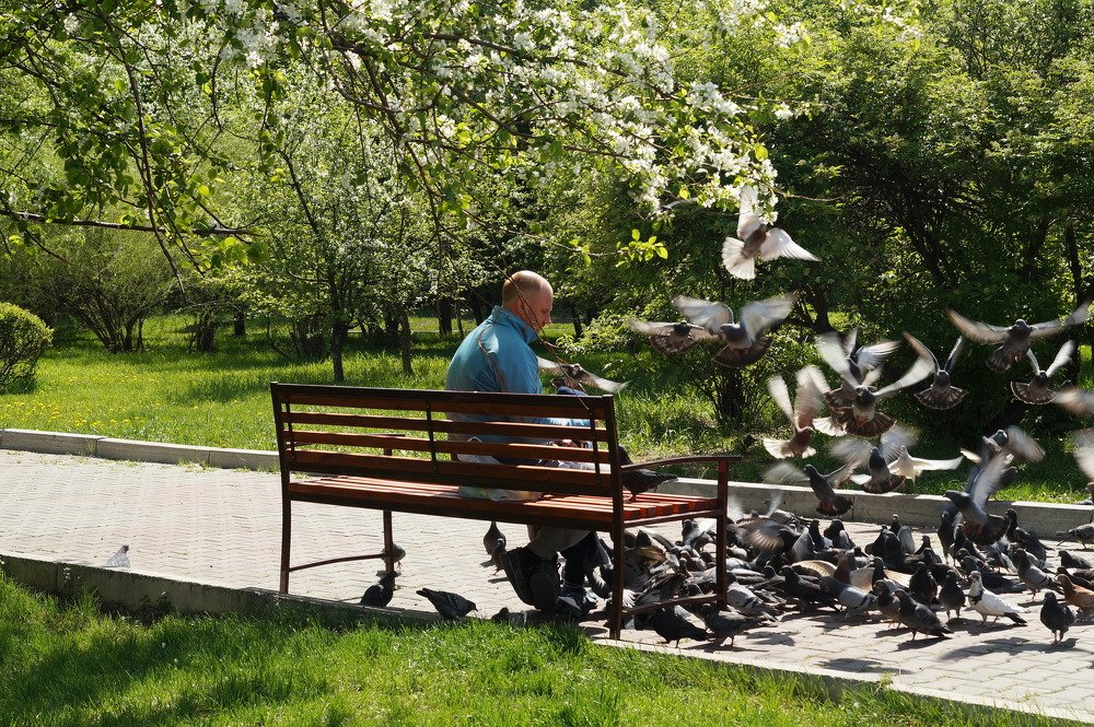 Photograph by Евгений Покрасен