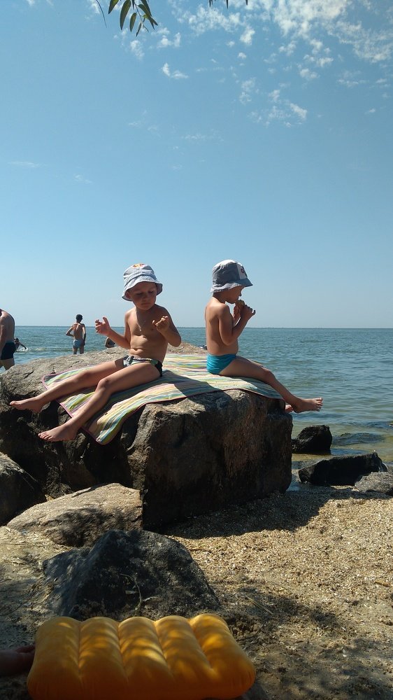 Photo #3722919