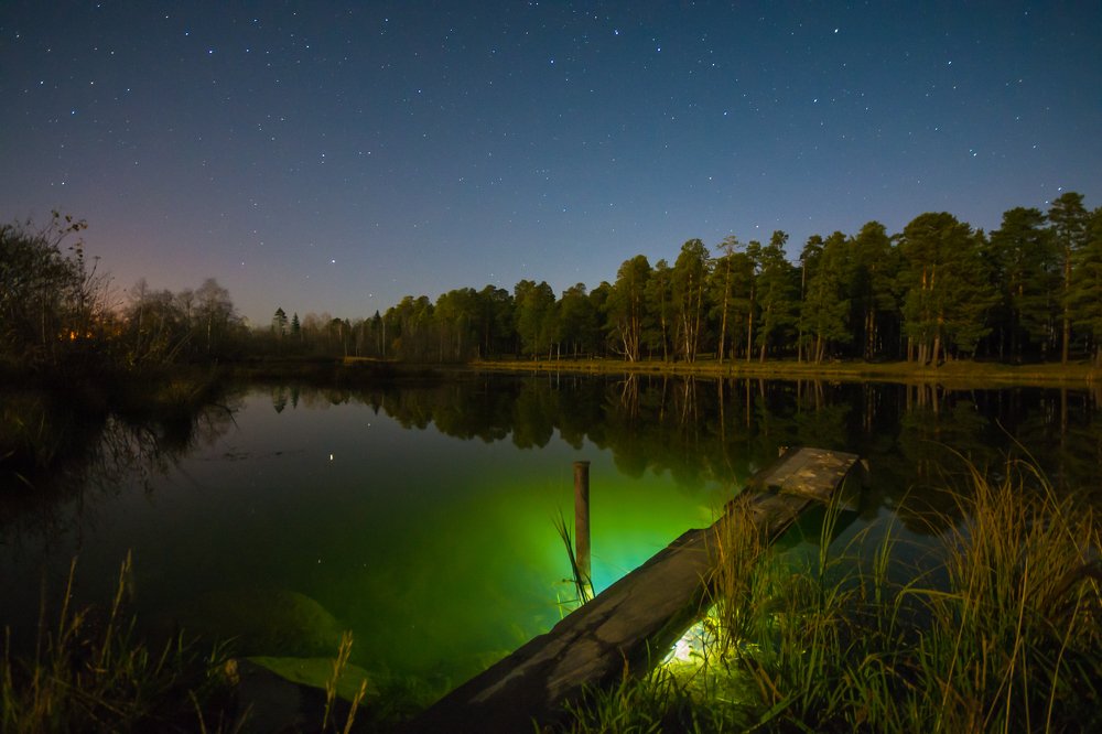 Photograph by Жданов Дмитрий