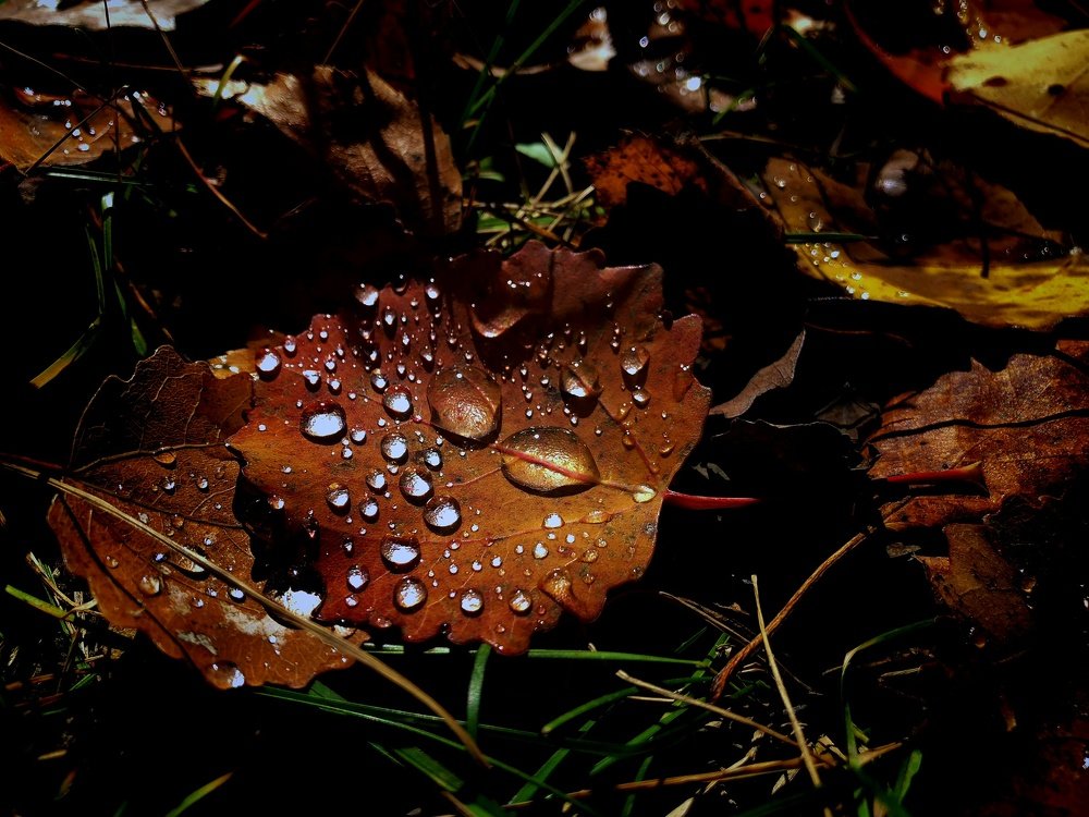 Photograph by Алёна Андреева