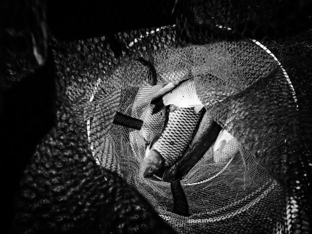 Photograph by Юлия