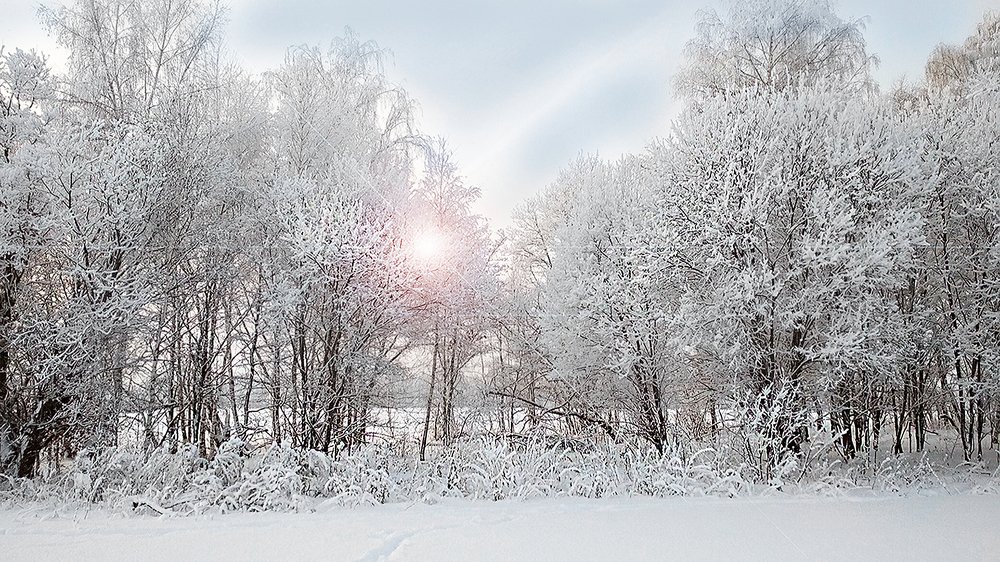 Зимний день