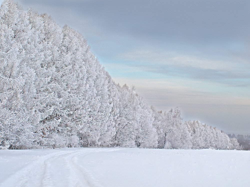 Зимняя природа