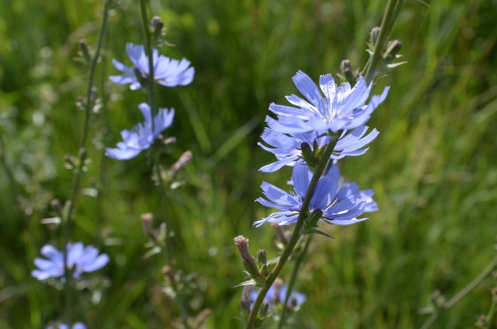 Фотография автора Владимир Брызгунов