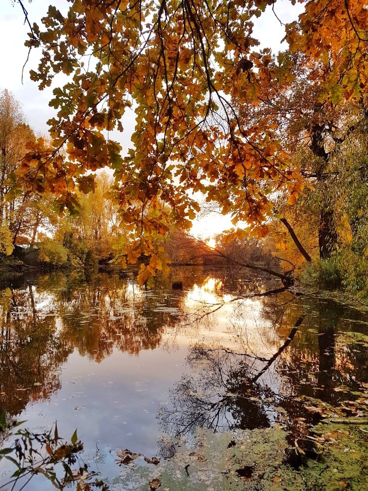 Photograph by Яна Лугинина