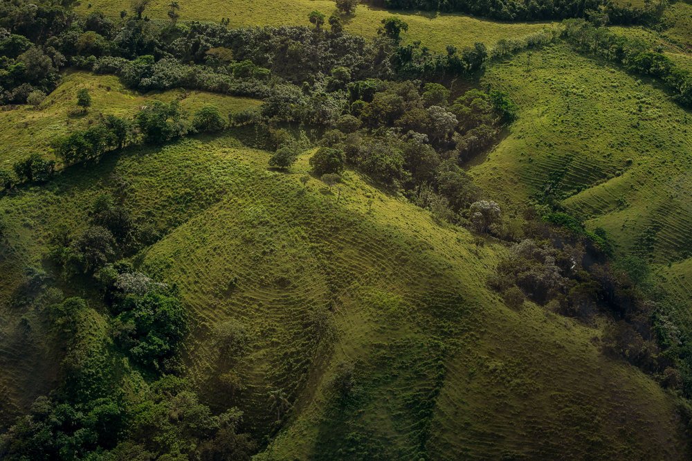Photograph by Александра Пименова