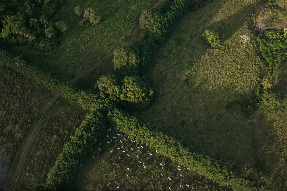 Photograph by Александра Пименова