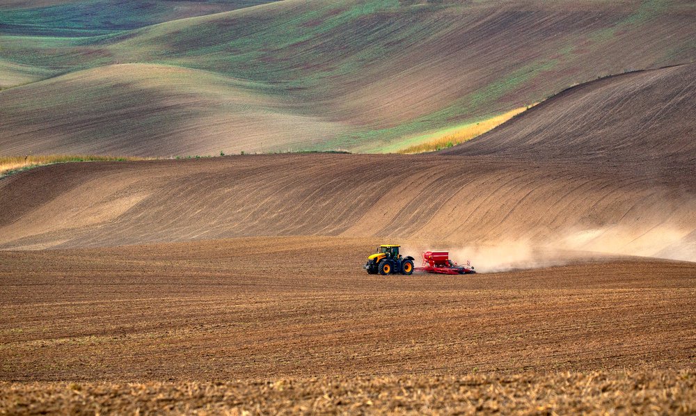 Фотография автора Людмила Прокофьева