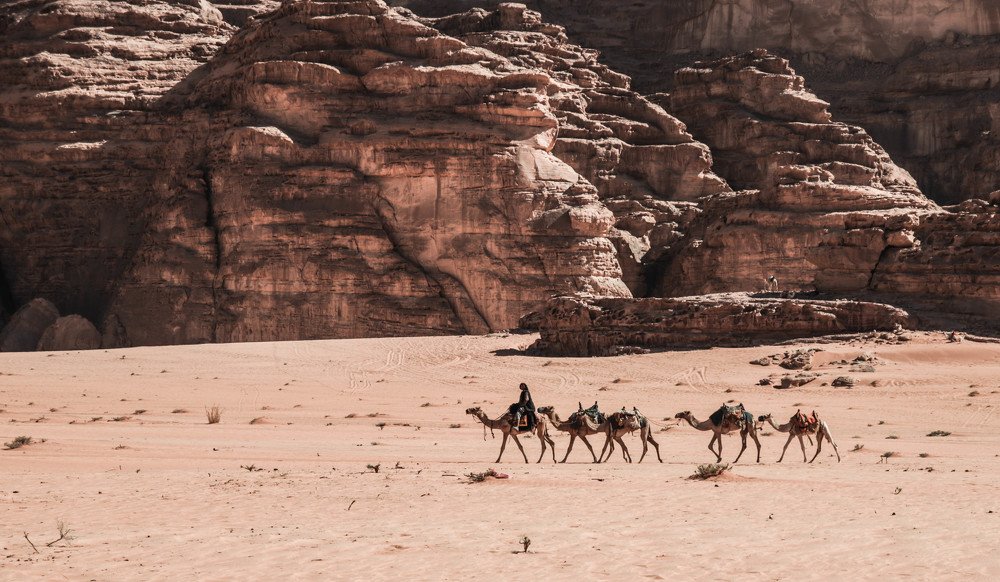 Фотография автора Dimitry Fadeev