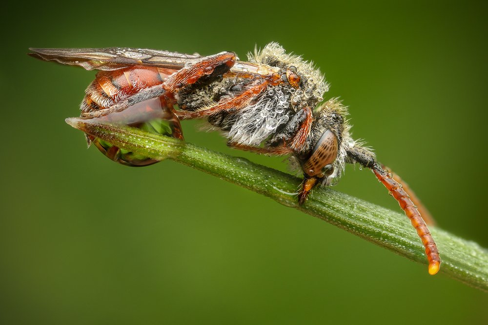 Photograph by Richard Kubica