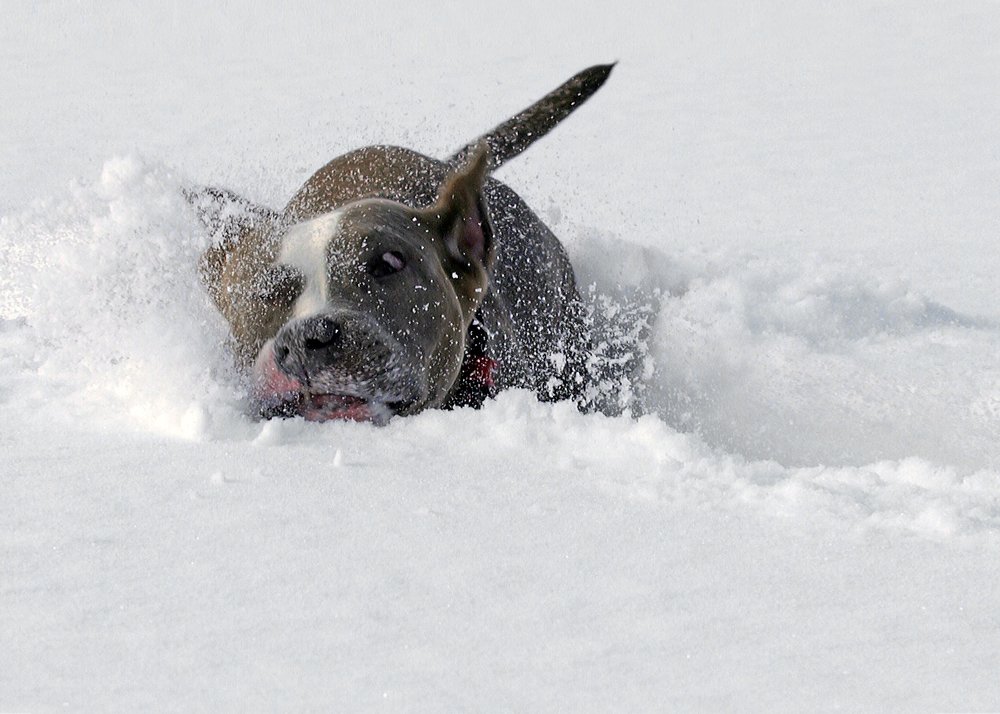 Photograph by Наталия Корзина