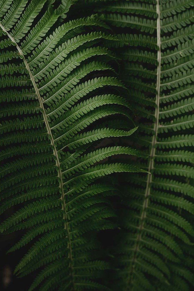 Photograph by Бабинцева Мария