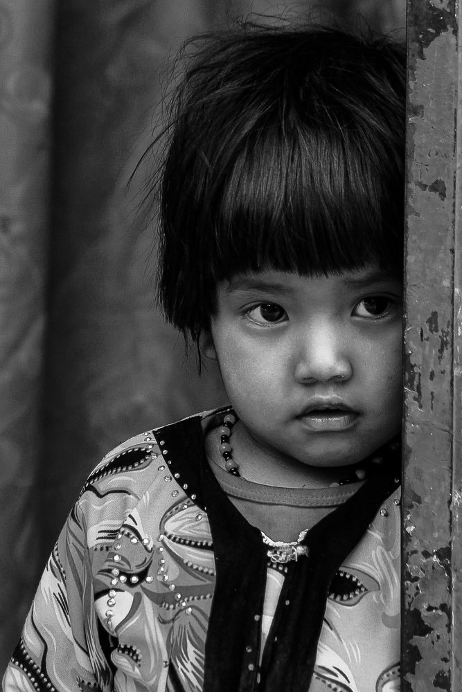 Фотография автора Elyas Iranmanesh